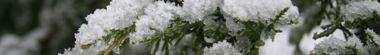 landscape seasonal image